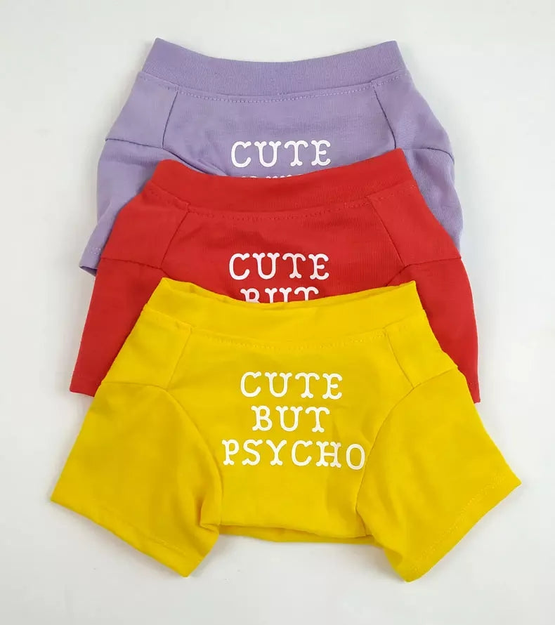 🐶 Mode d’Été pour Chiens – Confort & Tendance