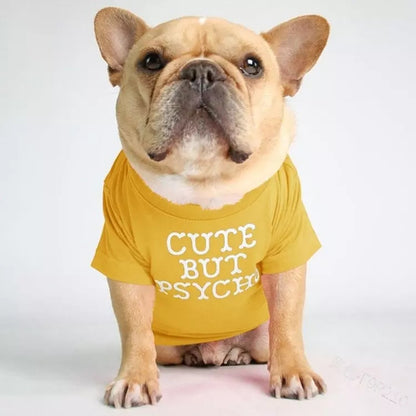 🐶 Mode d’Été pour Chiens – Confort & Tendance