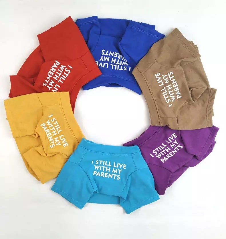 🐶 Mode d’Été pour Chiens – Confort & Tendance