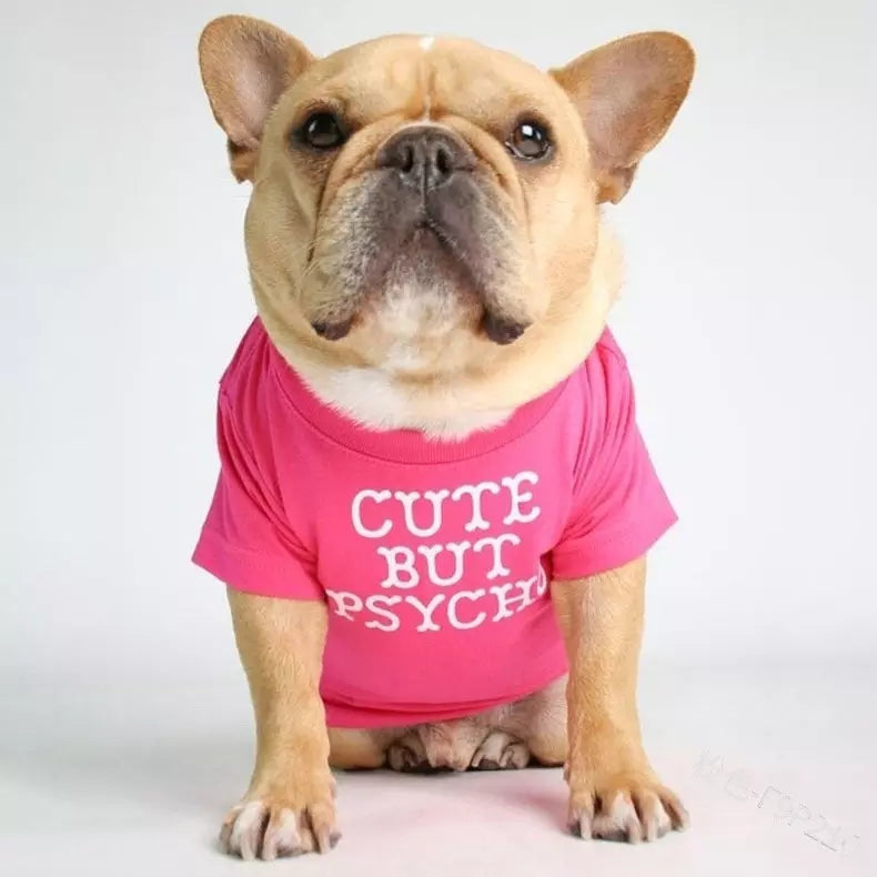 🐶 Mode d’Été pour Chiens – Confort & Tendance