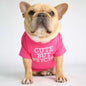 🐶 Mode d’Été pour Chiens – Confort & Tendance