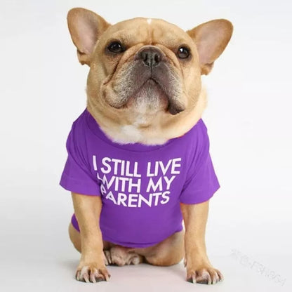 🐶 Mode d’Été pour Chiens – Confort & Tendance