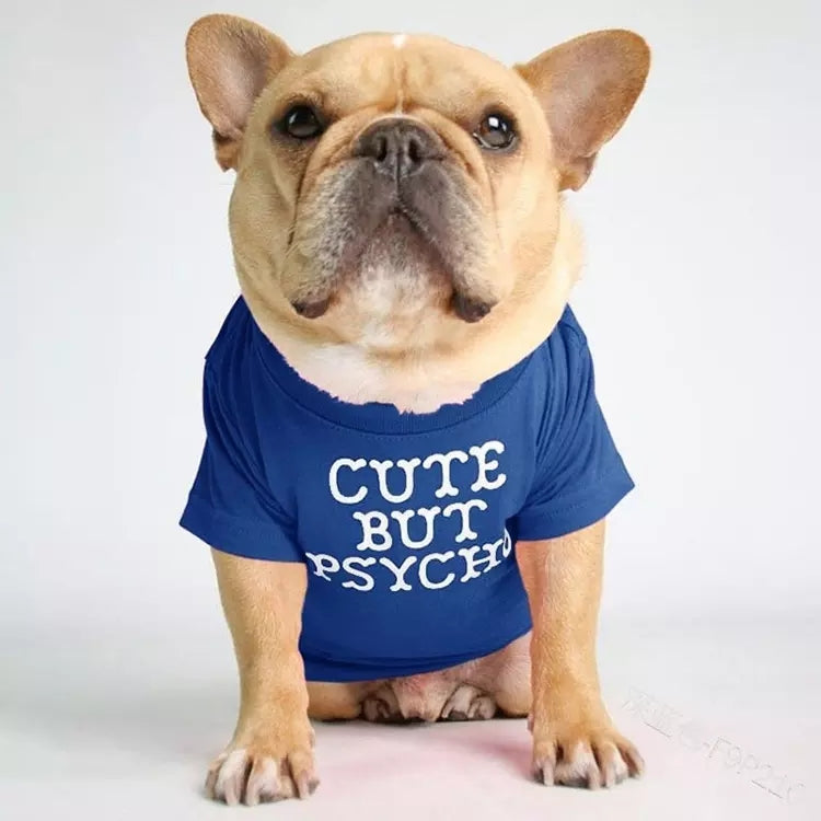 🐶 Mode d’Été pour Chiens – Confort & Tendance