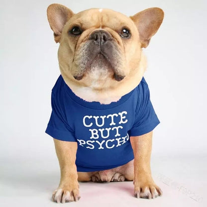 🐶 Mode d’Été pour Chiens – Confort & Tendance