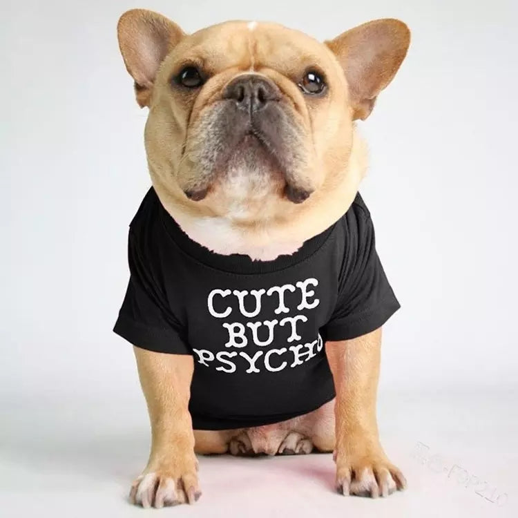 🐶 Mode d’Été pour Chiens – Confort & Tendance