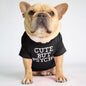 🐶 Mode d’Été pour Chiens – Confort & Tendance