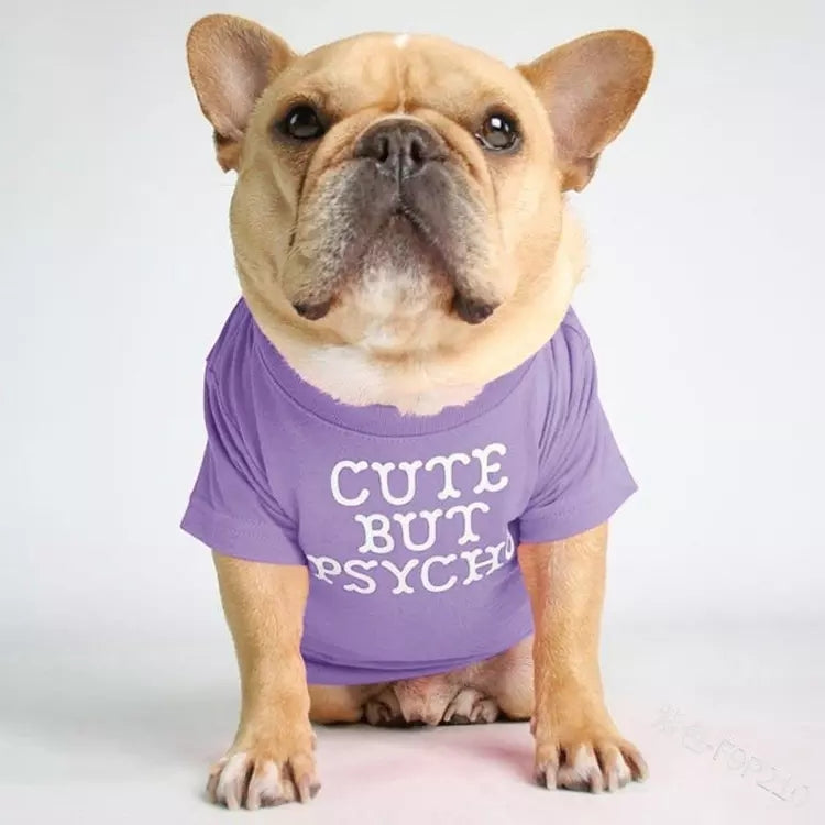 🐶 Mode d’Été pour Chiens – Confort & Tendance