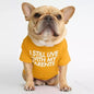 🐶 Mode d’Été pour Chiens – Confort & Tendance