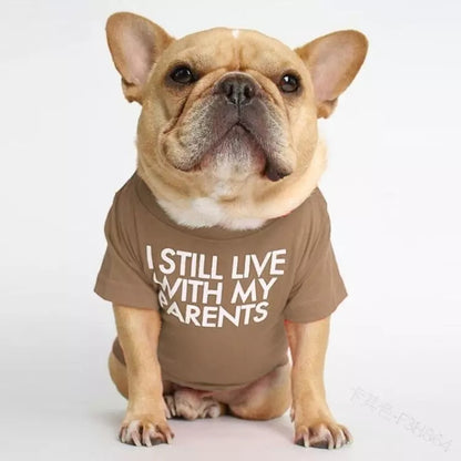 🐶 Mode d’Été pour Chiens – Confort & Tendance