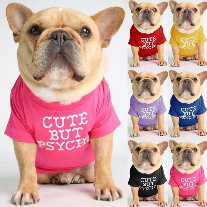 🐶 Mode d’Été pour Chiens – Confort & Tendance