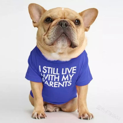 🐶 Mode d’Été pour Chiens – Confort & Tendance