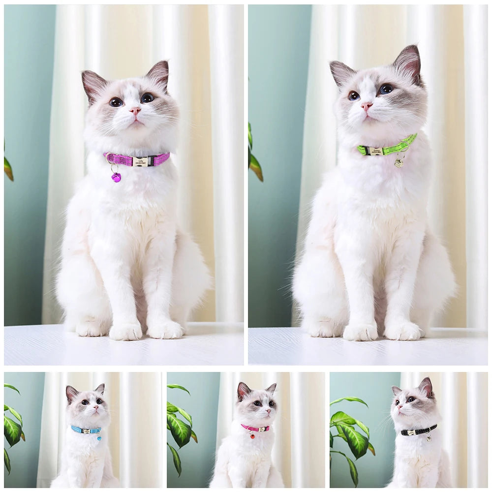 🐱 Collier Personnalisé Réfléchissant – Sécurité & Tendresse