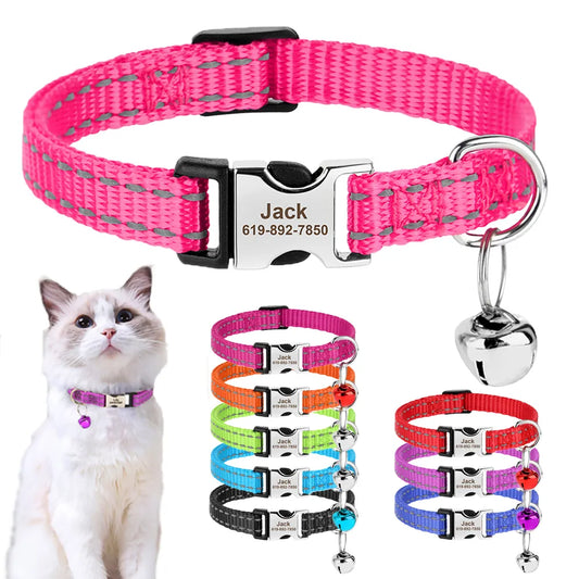 🐱 Collier Personnalisé Réfléchissant – Sécurité & Tendresse