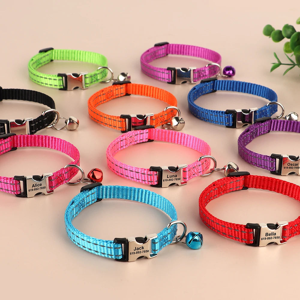 🐱 Collier Personnalisé Réfléchissant – Sécurité & Tendresse