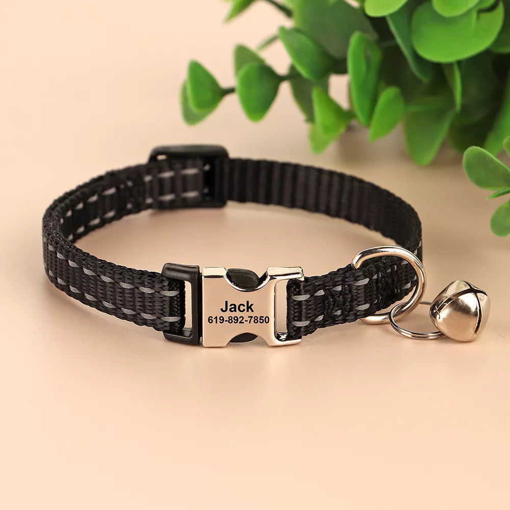 🐱 Collier Personnalisé Réfléchissant – Sécurité & Tendresse