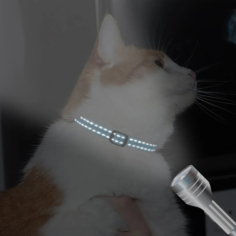 🐱 Collier Personnalisé Réfléchissant – Sécurité & Tendresse